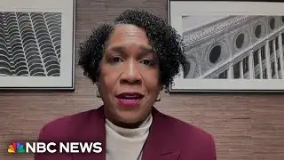 ‘We need real fighters’: Illinois Lt. Gov. Stratton on her Senate campaign