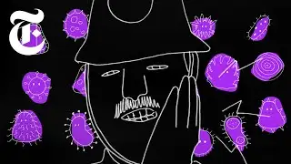 We’re Losing the War Against Bacteria, Here’s Why | NYT