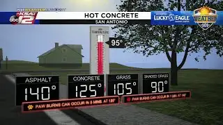 Weather 101: Dangerous heat for pets