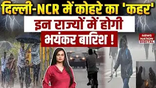 weather Forecast : Delhi-NCR में Fog का कहर, UP-Punjab में Heavy Rain का Alert | IMD | Cold Wave