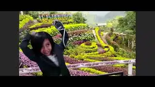 WEATHER NEWS REPORT JACOB