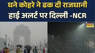 Weather Update: Delhi-NCR में घने कोहरे के कारण High Alert जारी, यातायात और उड़ानों पर असर