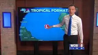 Weather Whys 6/7/20 - Hurricane Formation