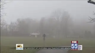 Weather Wonders: How radiation fog forms