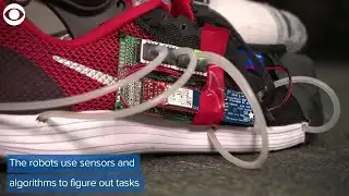 WEB EXTRA: Smarter robots