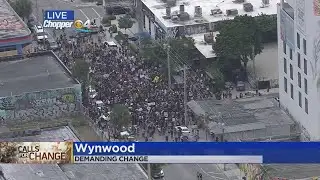 WEB EXTRA: Wynwood Protest