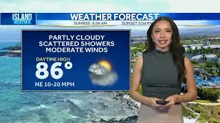 Wednesday Weather | Trade winds, passing showers, and high surf