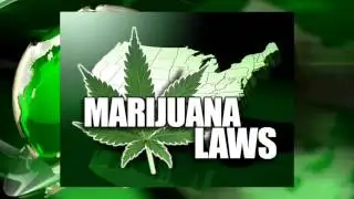 Weed Watch EP 13 - Cannabis News