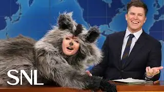 Weekend Update: Drunk Raccoon on Breaking into a Liquor Store - SNL