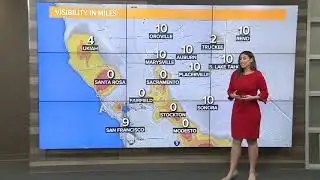 Weekend Weather Forecast: December 20, 2020
