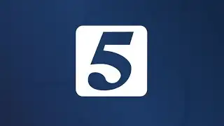 WeGo launches mobile app to make paying easier