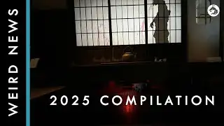 Weird, Bizarre, and Scary News From Japan Compilation 2025