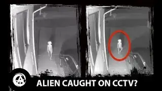 Weird "Dobby" like Alien Creature Caught on CCTV Footage?