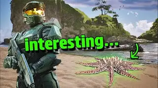 WEIRD & INTERESTING Things in Halo: Campaign Evolved
