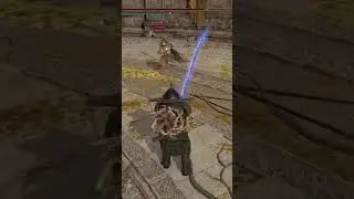 Weird Lock in ELDEN RING #eldenring #eldenringclips #eldenringdlc #gaming #shorts