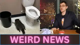 Weird News Drunk Raccoon found passed out near toilet.