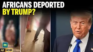 West Africans deported by Trump sent home despite jail, torture risks