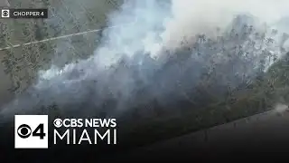 West Miami-Dade brush fire has crews rushing to extinguish growing blaze