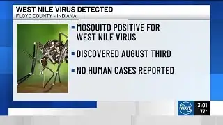 West Nile Virus found in mosquito sample in Floyd County