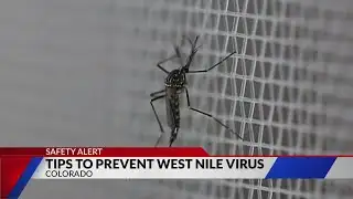 West Nile Virus: What is it and how to prevent it