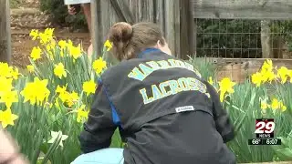 Western Albemarle students give back through ‘WAHS With a Cause’