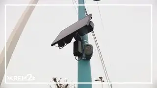 Western Washington communities voice concern over ICE access to flock cameras