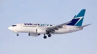WestJet apologizes after failing to provide refunds