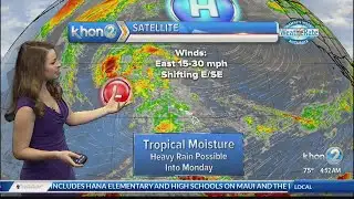 Wet weather to continue, with strong and gusty winds