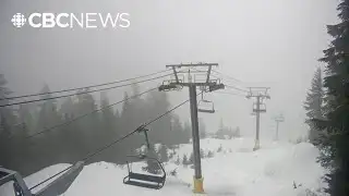 Wetter, warmer weather elevates South Coast avalanche risk