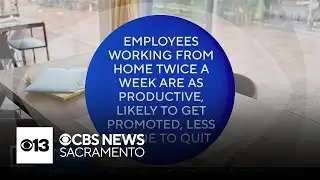 What are the pros and cons to remote work? | The Answer