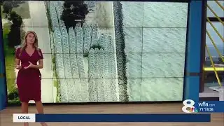 What are those large pyramids next to the Skyway?