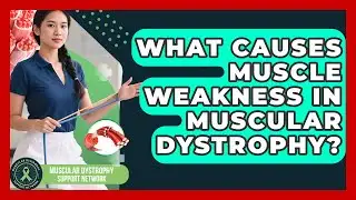 What Causes Muscle Weakness in Muscular Dystrophy? | Muscular Dystrophy Support Network News