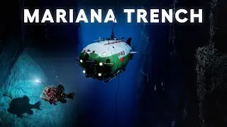 What China Found in the Deepest Place on Earth