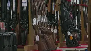 What Do Gun Background Checks Actually Check?