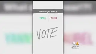 What Do You Hear? Yanny or Laurel?