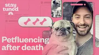 What happens after famous pets die?