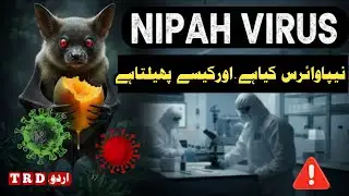 What Is Nipah Virus. and How Does It Spread) TheRealDesk