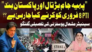 What is PTI planning on February 8? - Senator Mashal Yousafzai Explain