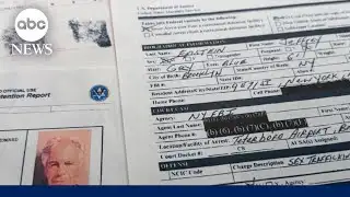 What new Epstein files release shows