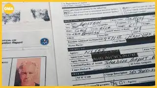 What new Epstein files release shows