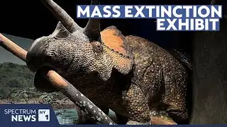 What really killed the dinosaurs? New AMNH exhibit dives deep