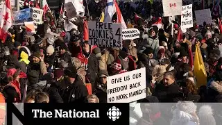 What’s driving the protest convoy, and will it change anything?