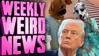 What The Hell Is Going On At Mar-a-Lago? - Weekly Weird News