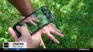 What the Tech: Stop scrolling