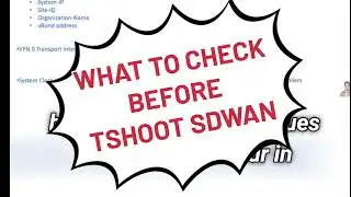 What to check before tshoot Cisco sdwan #sdwan #cisco #networkengineer 