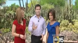 What to expect from monsoon: Staying safe