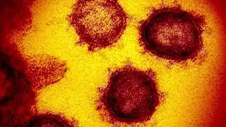 What to know about the new COVID variant