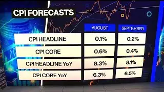 What to Watch for In the CPI Report