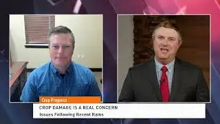 Wheat Harvest Finally Making Some Gains