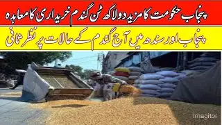 Wheat rate today in punjab pakistan 2026/wheat price today/local farmers